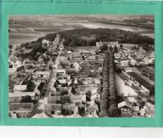 CHAMPIGNY SUR YONNE SES ENVIRONS VUE AERIENNE DE CHAUMONT - Champigny