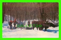 VERMONT, VT - GATHERING THE MAPLE SUGAR SAP - NATCO - - Andere & Zonder Classificatie