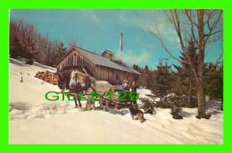 VERMONT, VT - THE MAPLE SUGAR TIME - SUGARING IN VERMONT - - Sonstige & Ohne Zuordnung