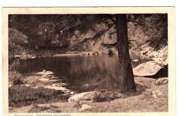 BR37486 Sud Vosges Fischbodle Munstertal    2 Scans - Münstertal