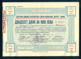 6K149 Share Action Aktie  1000 Lv. SOFIA 1945 Tailoring Cooperative  - IZGREV  Bulgaria Bulgarie Bulgarien Bulgarije - Industry
