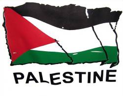 PALESTINIAN AUTHORITY Palestine 1994 - 1999 MNH COMPLETE COLLECTION MS + STAMPS - Palästina