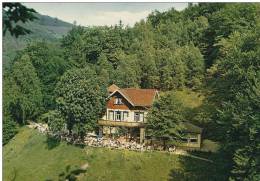 Germany   Bad Hatzburg - Waldgaststätte Sennhütte.  B-2797 - Bad Harzburg