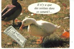 CPM  Il N'y A Que Des Sottises Dans Ce Canard - Animaux Habillés