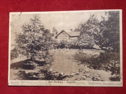 AK Bad Harzburg Sennhütte 1919 - Bad Harzburg