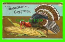 THANKSGIVING  GREETINGS - TURKEY HEATING CORN - TRAVEL IN 1909 - 3/4 BACK - EMBOSSED - - Thanksgiving