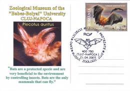 ANIMAUX,BAT,CHAUVE-SOURIS ,SPECIAL POSTCARD, STAMPS,OBLITERATION CONCORDANTE,ROMANIA,2007 - Chauve-souris