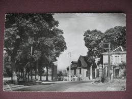 CPA PHOTO 89 COURSON LES CARRIERES Entrée Du Pays  1950 60 - Courson-les-Carrières