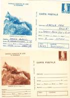 ANIMALS,SQUIRREL,OWL,ENTIER POSTAUX,STATIONERY,2X POSTCARD,1977,ROMANIA - Nager