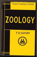 LIVRE - TEACH YOURSELF BOOKS - ZOOLOGY - T.H. SAVORY - 1962 - 184 PAGES - NOMBREUSES ILLUSTRATIONS - Sonstige & Ohne Zuordnung