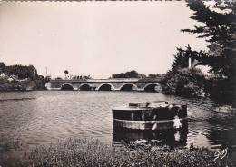 (a) Saint Coulomb - Etang Et Pont De Sainte Suzanne - Saint-Coulomb