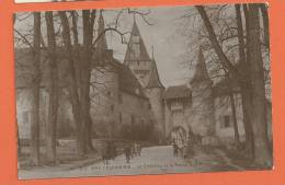 Q226, Colombier , NE, Château Et Porte Des Allées, Animée, 3646, Circulée 1920 - Colombier