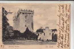 BR39905 Blarney Castle Cork    2 Scans - Cork