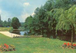 COULANGES SUR YONNE BAIGNADE - Coulanges Sur Yonne