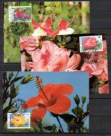 3 Cartes Maximum, Floralies Gantoises, 2589 /2591 - Fantasie Vignetten