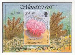 Montserrat MNH Scott #859 Souvenir Sheet $4.50 Sea Rose - Anemone Tealia - Flowers Of The Sea - Montserrat