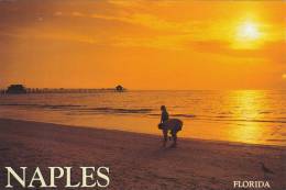 Cp , ETATS-UNIS , NAPLES-on-the-Gulf - Naples