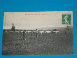 21) Saulieu - Semence Et Herbage ( Agriculture )  - Année 1911 - EDIT - Deflandre - Saulieu