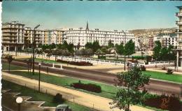 CPA 76  LE HAVRE Avenue Foch Et Square Saint Roch - Square Saint-Roch