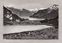 34083     Svizzera,  Aeschi -  Interlaken  Vom  Niesen  Aus  Gesehen,  VG  1958 - Aeschi