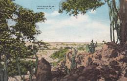 OLD GOLD MINE / ARUBA N.W.I. - Saint-Eustache