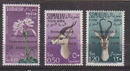 D0036 - SOMALIE Yv N°1 + AERIENNE ** ANIMAUX ANIMALS - Somalia (1960-...)