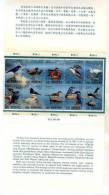 Folder 1991 Taiwan Stream Birds Stamps Bird Duck Kingfisher Fish Resident Migratory River - Agua