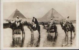 Egypt-Postcard Interwar-The Passage During The Inundation,camels-unused,2/scans. - Pyramides