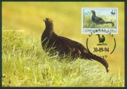 Aserbaidschan  1994  WWF - Kaukas. Birkhuhn  (4 MK  Kpl. )  Mi: 161-64 (5,50 EUR) - Azerbaijan