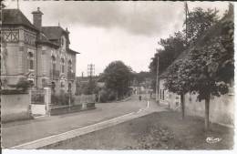 Cpsm, Saint-Amand-en-Puisaye (Nièvre), Grande Rue, Animée - Saint-Amand-en-Puisaye