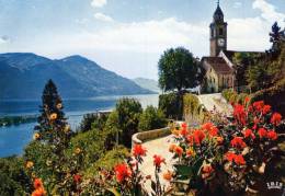 Bellissima  Cartolina Di    " RONCO S/ ASCONA (Lago Maggiore)  " - Ascona