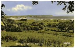 OXWICH : THE SAND DUNES - Glamorgan