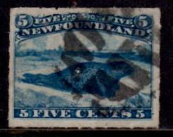 Newfoundland 1876 5 Cent Harp Seal Rouletted Issue #40  Pin Hole - 1865-1902