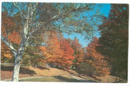 USA, Fall Setting On Rt. 140 At Tinmouth, Vermont, Unused Postcard [13037] - Andere & Zonder Classificatie