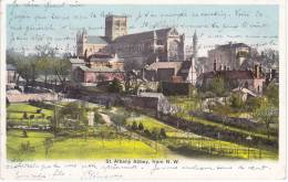 ST ALBANS Abbey, From N.W. (1905) - Hertfordshire