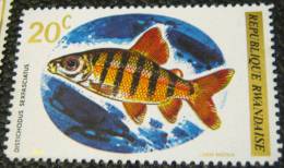 Rwanda 1973 Fish Distichodus Sexfasciatus 20c - Mint - Nuovi