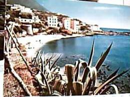 CALA GONONE  SCORCIO VB1978 EB98338 - Nuoro