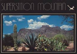 Cp , ETATS-UNIS ,  PHOENIX , View Of Superstition Mountain - Phoenix