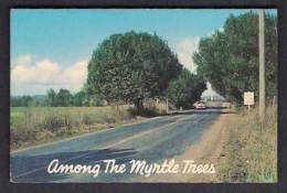 130235 / CAR - AMONG THE MYRTLE TREES , OREGON - United States Etats-Unis USA - Andere & Zonder Classificatie