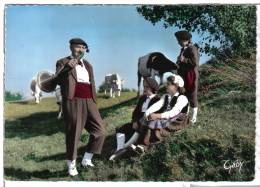 OSSUN (65) - CPSM - Groupe Folklorique CEÜ BIGOURDAN ... Trompes De Chasse, Bergers, Bergeres, Vaches, Pyrénées - Ossun