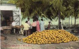 Packing Grape Fruit Puerto Rico 1905 Postcard - Puerto Rico