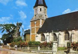 Allouville-Bellefosse - L'église - Le Vieux Chêne - Allouville-Bellefosse