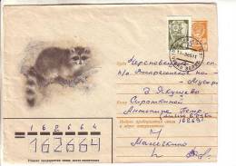GOOD USSR Postal Cover 1981 - Fur Animal - Brieven En Documenten