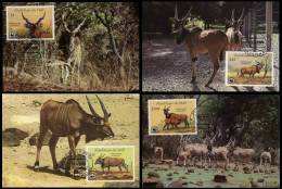 Mali 1986 WWF Giant Eland 4x MC Maximum Cards Fauna Antilope Animals - Cartoline Maximum