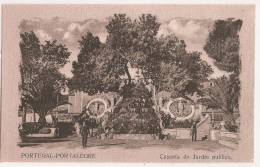 Portalegre - Cascata Do Jardim Público - Portalegre
