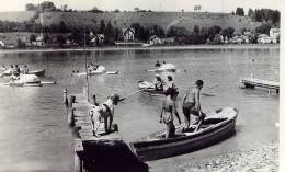 CLAIRVAUX LES LACS Le Grand Lac Avec Ses Barques Et Pédalos - Clairvaux Les Lacs