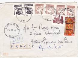 Lettre Cover BRESIL 1985, URUBICI Pour La FRANCE, CHENILLE COTON CAJU /2456 - Covers & Documents