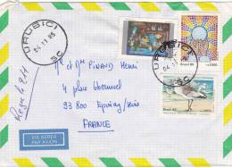 Lettre Cover BRESIL 1985, URUBICI Pour La FRANCE, TABLEAU OISEAU  /2936 - Covers & Documents