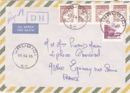 Lettre Cover BRESIL 1985, URUBICI Pour La FRANCE, PINO DO PARANA ALGODAO  /2940 - Lettres & Documents