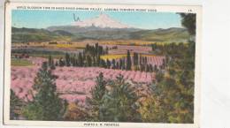 BR45227  Apple Blossom Time In Hood River Oregon Valley    2 Scans - Andere & Zonder Classificatie